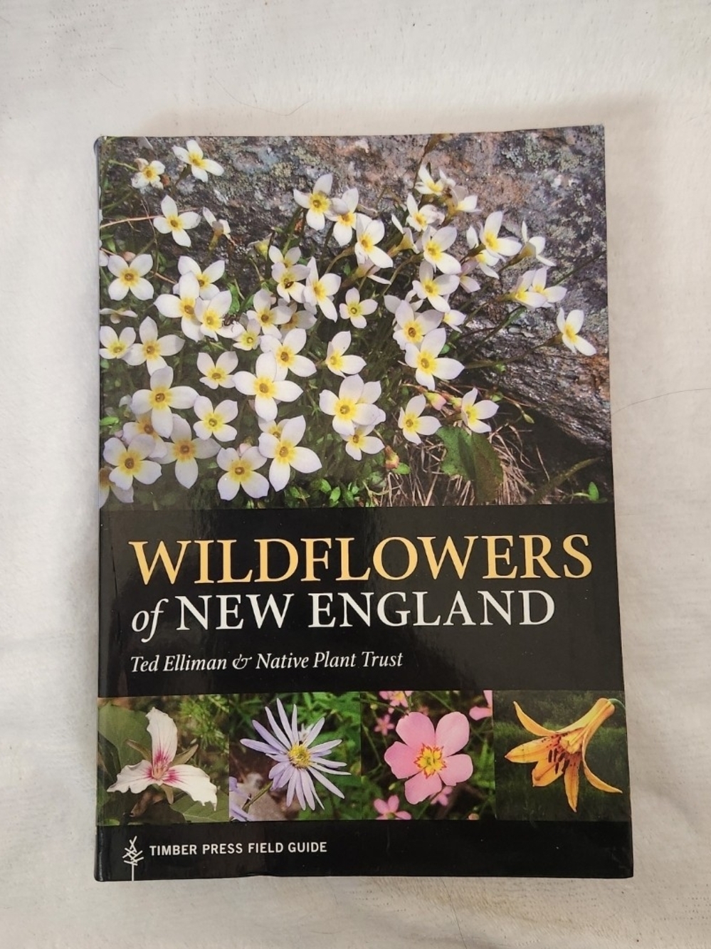 Wildflowers of New England, Paperback Ted Elliman Timber Press Field Guide